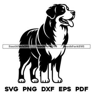 Berner Sennenhund stehendes Design svg png dxf eps pdf | Vektorgrafik Datei Laser Clip Art schneiden | sofortiger digitaler Download kommerzielle Nutzung
