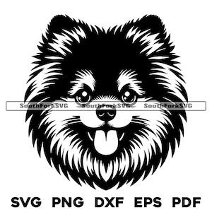 Ontwerp hondenkop Pommeren | svg png dxf eps pdf | vectorafbeelding snijbestand laserclipart | direct digitaal downloaden voor commercieel gebruik