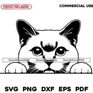 Diseño de gato birmano que mira a escondidas / svg png dxf eps pdf / archivo de corte gráfico vectorial clip art láser / descarga digital instantánea para uso comercial