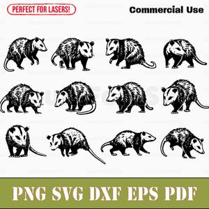 Bundle opossum simple svg png dxf eps pdf | Fichiers d'impression découpés au laser, image vectorielle clipart | Téléchargement instantané, utilisation commerciale