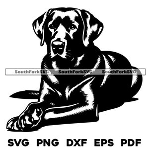 Labrador retriever hond leggen gekruiste poten 1 svg png dxf eps pdf | vectorafbeelding gesneden bestand laser clip art instant download commercieel gebruik