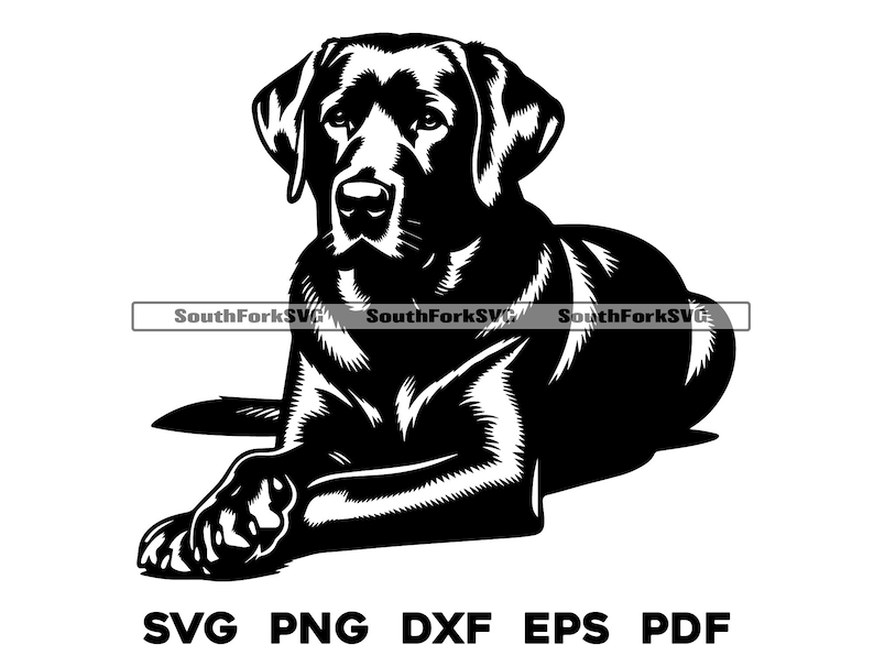 May include: Black and white silhouette of a Labrador Retriever dog lying down with its head turned to the side.