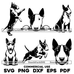 Bullterrier-Hundepaket | svg png dxf eps pdf | Vektorgrafik Datei Laser Clip Art schneiden | sofortiger digitaler Download kommerzielle Nutzung