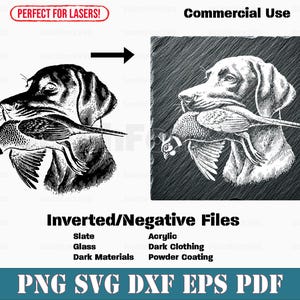 Op de afbeelding: Zwart-witte illustratie van een hond die een fazant in zijn bek draagt. De afbeelding is perfect voor lasersnijden en graveren.