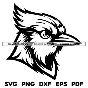 Blue Jay Middle High School Sports Team Mascot  | svg png dxf eps pdf | vector graphics design cut print dye sub laser digital files