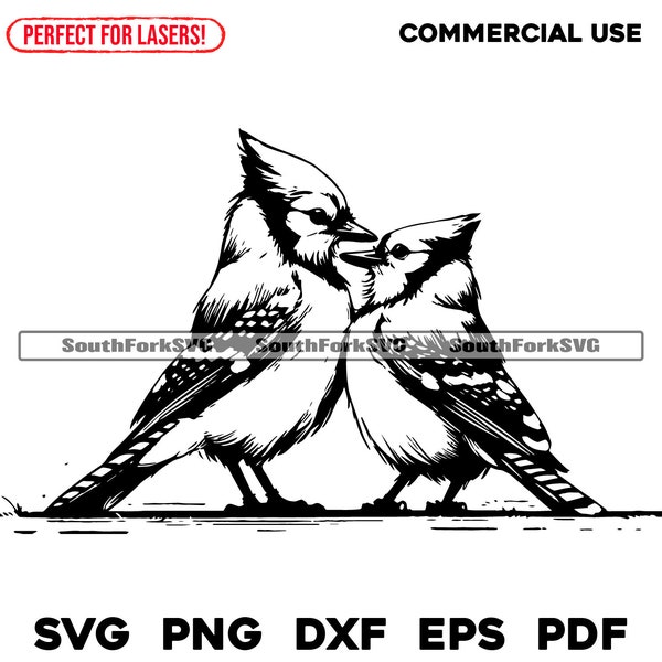 Laser Engrave Files Bluejay Birds svg png dxf eps pdf | vector graphic cut print dye sub laser cnc files commercial use