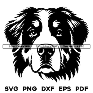 Berner Sennenhund Kopf Design | svg png dxf eps pdf | Vektorgrafik Datei Laser Clip Art schneiden | sofortiger digitaler Download kommerzielle Nutzung