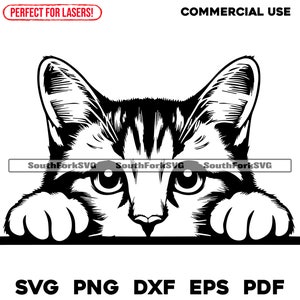 American Bobtail Cat Peeking Design svg png dxf eps pdf | graphique vectoriel découpé fichier laser clip art | Téléchargement numérique instantané, utilisation commerciale