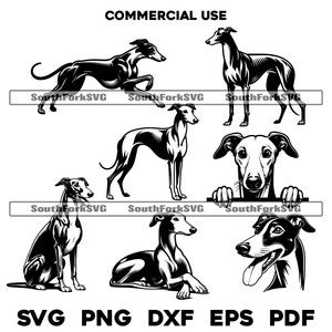 Ensemble de dessins de chiens lévriers svg png dxf eps pdf | graphique vectoriel découpé fichier laser clip art | Téléchargement numérique utilisation commerciale