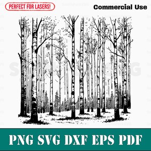 May include: Black and white line art illustration of a birch tree forest. The trees are drawn with a simple, stylized design, and the image is perfect for use in crafts, scrapbooking, or other creative projects.