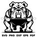 Bulldog Middle High School Sports Team Mascot  | svg png dxf eps pdf | vector graphics design cut print dye sub laser digital files