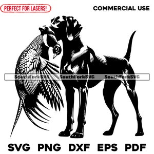 Caça ao faisão do ponteiro alemão de pêlo curto | svg png dxf eps pdf | arquivo de corte de gráfico vetorial a laser clip art | download instantâneo para uso comercial