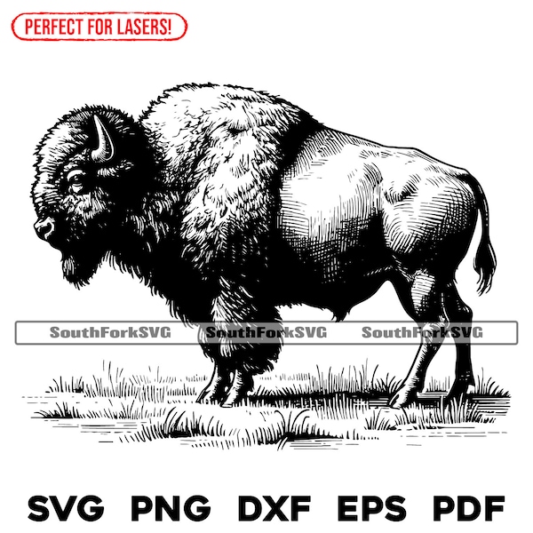 American Bison Laser Engrave Files svg png dxf eps pdf vector graphic design cut print dye sub cnc digital files commercial use