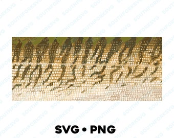 Musky Muskie muskellunge Pike Pickerel Skin Pattern SVG PNG DXF trout bass pike muskie crappie fly fishing design vector fishing hunting 1