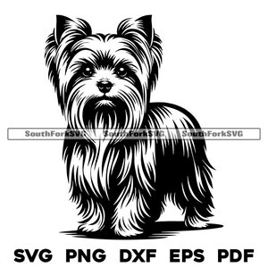 Yorkshire Terrier Hund stehend Design svg png dxf eps pdf | Vektorgrafik Datei Laser Clip Art schneiden | sofortiger digitaler Download kommerzielle Nutzung