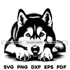 Siberian Husky Hund Liegend Motiv | svg png dxf eps pdf | Vektorgrafik Datei Laser Clip Art schneiden | sofortiger digitaler Download kommerzielle Nutzung