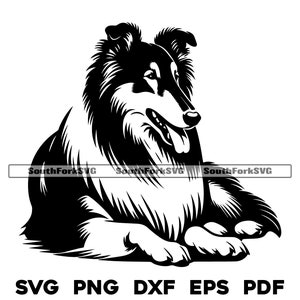 Ontwerp collie hond | svg png dxf eps pdf | vectorafbeelding snijbestand laserclipart | direct digitaal downloaden voor commercieel gebruik