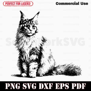 Maine Coon Katzenportrait svg png dxf eps pdf | Vektorgrafik Schnittdatei Laser gravieren ClipArt | sofortiger digitaler Download kommerzielle Nutzung