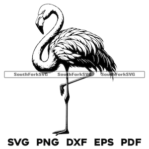 Flamingo Vogel Design | svg png dxf eps pdf | Vektorgrafik Datei Laser Clip Art schneiden | sofortiger digitaler Download kommerzielle Nutzung