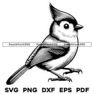 Design de pássaro Tufted Titmouse | svg png dxf eps pdf | arquivo de corte de gráfico vetorial a laser clip art | download digital instantâneo uso comercial