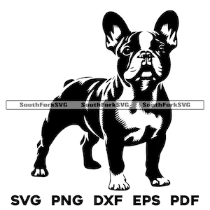 Bulldog Francês em pé Design 1 | svg png dxf eps pdf | arquivo de corte de gráfico vetorial a laser clip art | download digital instantâneo uso comercial