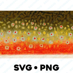 以下が含まれることがあります： マス の うろこ の クローズ アップ。うろこ は 緑、黄、オレンジ、赤 の 色 が 混ざっ て い ます。魚 の うろこ は 小さな 黒い 点 で 覆 わ れ て い ます。