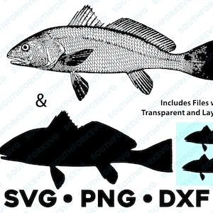 Redfish Red Fish Spot Red Drum SVG PNG DXF vector transparent  cameo silhouette cut file saltwater fishing ocean clip dye sub sea