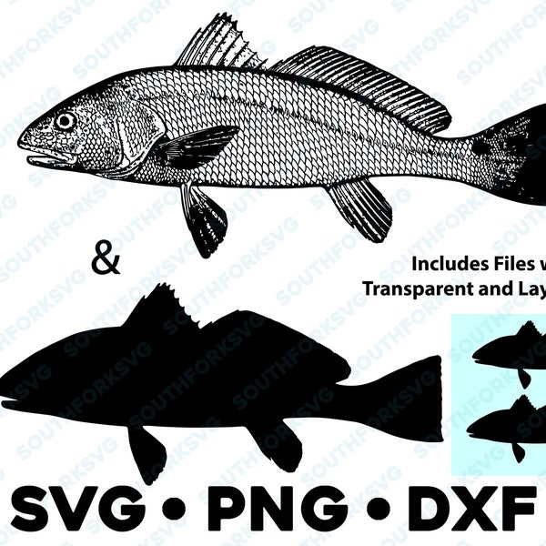 Redfish Red Fish Spot Red Drum SVG PNG DXF vector transparent  cameo silhouette cut file saltwater fishing ocean clip dye sub sea