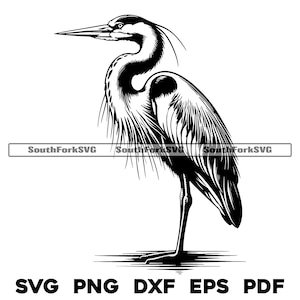 Design de pássaro Great Blue Heron | svg png dxf eps pdf | arquivo de corte de gráfico vetorial a laser clip art | download digital instantâneo uso comercial