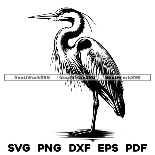 Great Blue Heron Bird Design | svg png dxf eps pdf | vector graphic cut file laser clip art | instant digital download commercial use