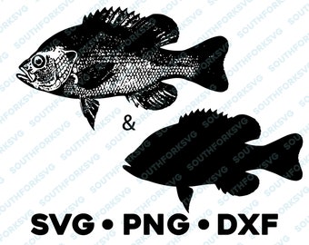 Long Ear Bluegill Panfish Sunfish SVG PNG DXF vector transparent  cameo silhouette cut file vinyl decal fishing outdoors bass pike