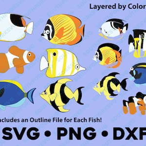 Tropical Fish SVG PNG DXF Bundle Layered by Color Cut File vector transparent  cameo silhouette sea ocean beach clownfish colorful