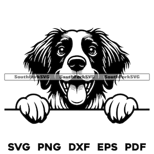 Testa di cane Brittany Spaniel che sbircia / svg png dxf eps pdf / file di taglio grafico vettoriale clip art laser / download digitale immediato uso commerciale
