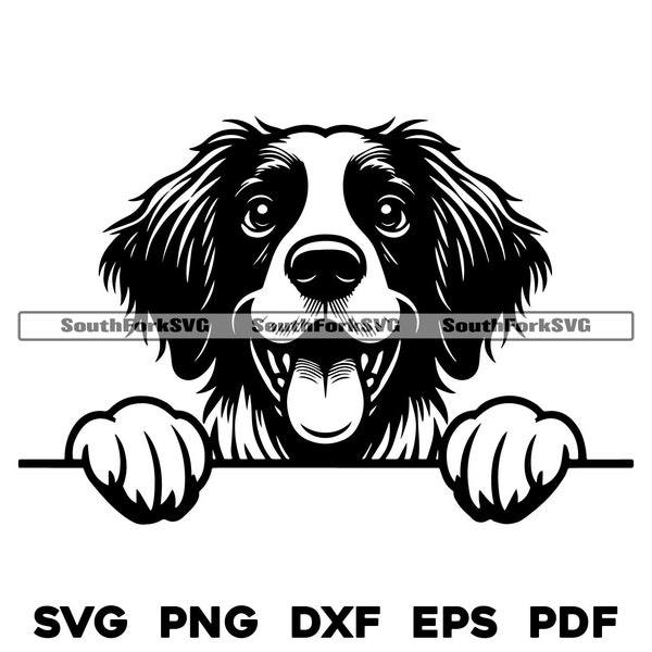Peeking Brittany Spaniel Dog Head | svg png dxf eps pdf | vector graphic cut file laser clip art | instant digital download commercial use
