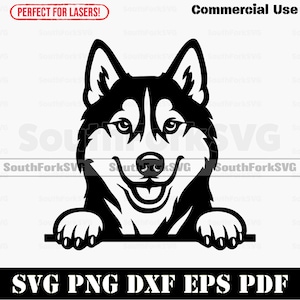 Peeking Siberian Husky Dog svg png dxf eps pdf vector graphic cut file laser stencil clip art instant digital download commercial use