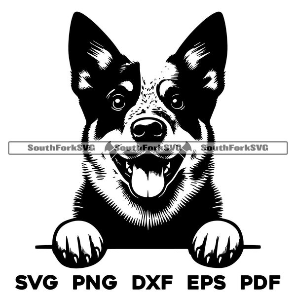 Peeking Blue Heeler Dog Head Design | svg png dxf eps pdf | vector graphic cut file laser clip art | instant digital download commercial use