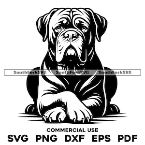 Dogue de Bordeaux Cachorro Deitado Patas Cruzadas svg png dxf eps pdf | arquivo de corte de gráfico vetorial laser clip art | download digital uso comercial