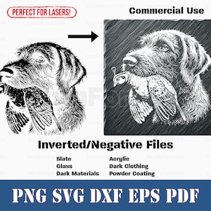 Op de afbeelding: Zwart-witte illustratie van een hond die een vogel in zijn bek houdt. De afbeelding is op een donkere achtergrond en heeft bovenaan de tekst "Commercieel gebruik". De afbeelding is gelabeld "Omgekeerde/negatieve bestanden" en vermeldt materialen zoals leisteen, glas, donkere materialen, acryl, donkere kleding en poedercoating. De afbeelding zegt ook "PNG SVG DXF EPS PDF".