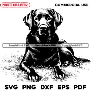 File di incisione laser Labrador Retriever nero svg png dxf eps pdf / grafica vettoriale design taglio stampa dye sub cnc digitale uso commerciale