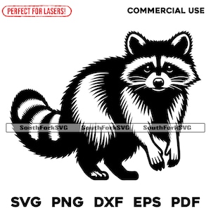 Raccoon Design svg png dxf eps pdf | vector graphics design cut print dye sub laser engrave digital files commercial use
