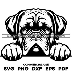 Tête de chien Peeking Dogue de Bordeaux | svg png dxf eps pdf | graphique vectoriel découpé fichier laser clip art | Téléchargement numérique instantané, utilisation commerciale