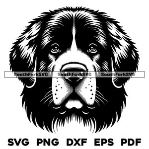 Neufundländer Kopf Design | svg png dxf eps pdf | Vektorgrafik Datei Laser Clip Art schneiden | sofortiger digitaler Download kommerzielle Nutzung