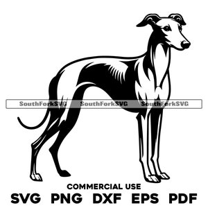 Disegno di cane levriero in piedi / svg png dxf eps pdf / file di taglio grafico vettoriale clip art laser / download digitale immediato uso commerciale