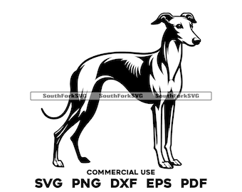 Greyhound Dog Standing Design | svg png dxf eps pdf | vector graphic cut file laser clip art | instant digital download commercial use
