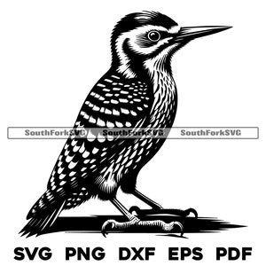 Flaumspecht Vogel Design svg png dxf eps pdf | Vektorgrafik Datei Laser Clip Art schneiden | sofortiger digitaler Download kommerzielle Nutzung