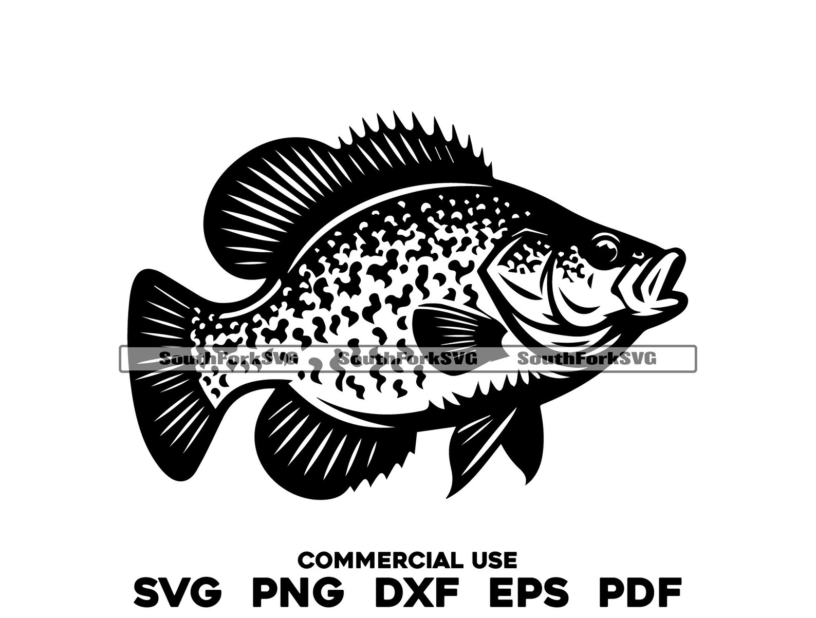 Crappie Svg Png Dxf Eps Pdf | Transparent Vector Graphic Design Cut ...