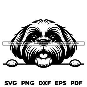 Spähender Shih Tzu Hundekopf Design | svg png dxf eps pdf | Vektorgrafik Datei Laser Clip Art schneiden | sofortiger digitaler Download kommerzielle Nutzung