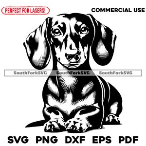 Teckel Weiner Leggenhond | svg png dxf eps pdf | vectorafbeelding snijbestand laserclipart | direct digitaal downloaden voor commercieel gebruik