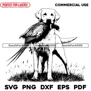 Labrador retriever vogel hond lasergraveren bestanden svg png dxf eps pdf | vector grafisch ontwerp print gesneden kleurstof sub cnc digitaal commercieel gebruik