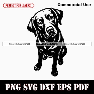 May include: A monochrome illustration of a Labrador Retriever dog with a curious expression. The image features the text "Commercial Use" and "Perfect for Lasers!" and file type details: PNG, SVG, DXF, EPS, and PDF.